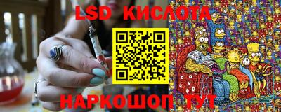 индика Партизанск