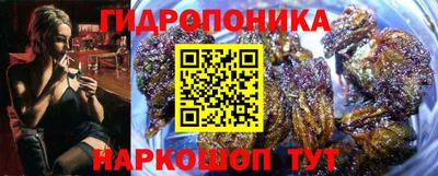 индика Партизанск