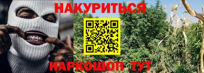 индика Партизанск