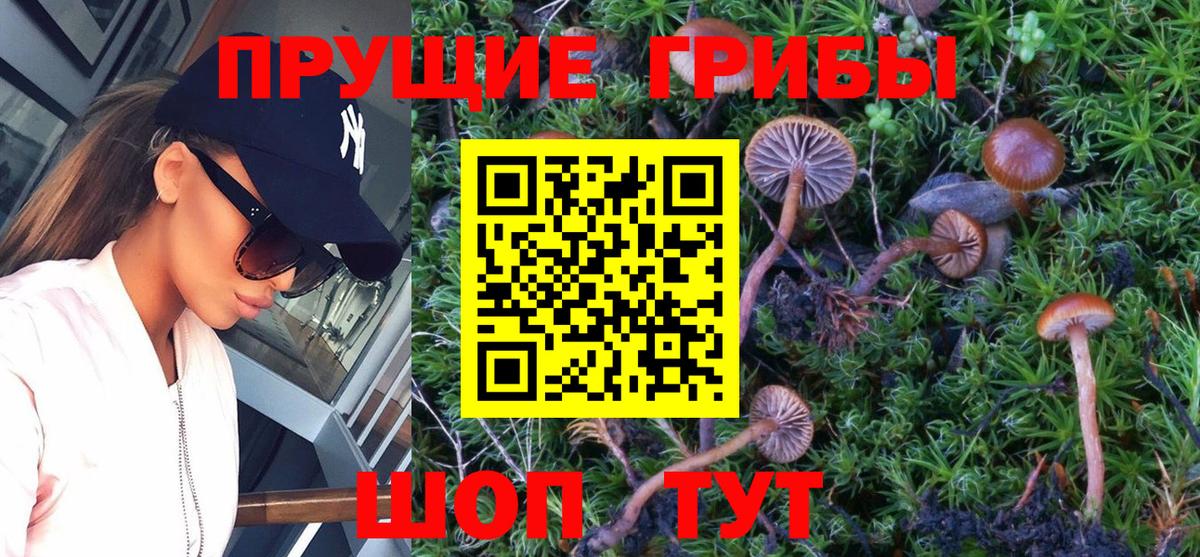 Псилоцибиновые грибы мухоморы  Вход с VPN  Тольятти 